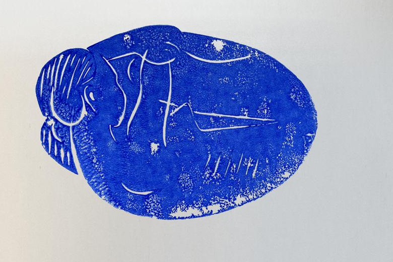 Cocoon, A3, blue ink