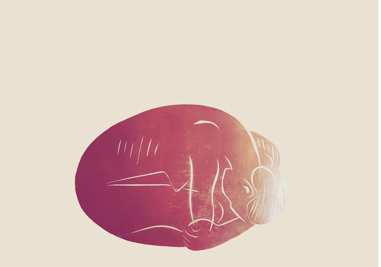 Cocoon, purple ink