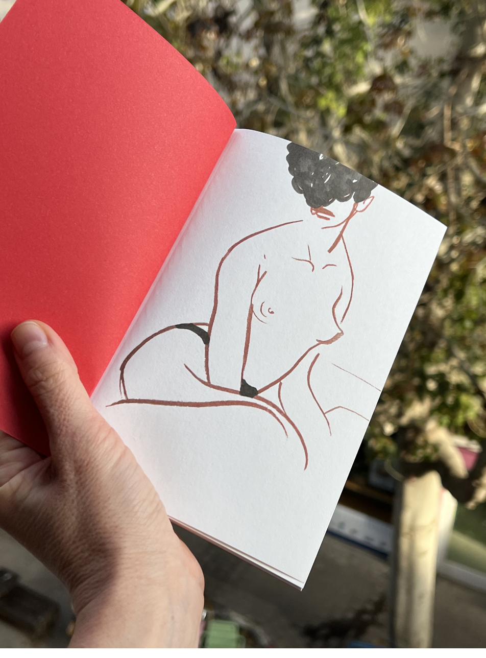 Fiammett, illustration inside the printed book